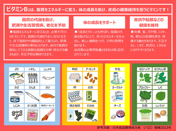 脂質の多い食品を摂る時は、ビタミンB2も一緒に!